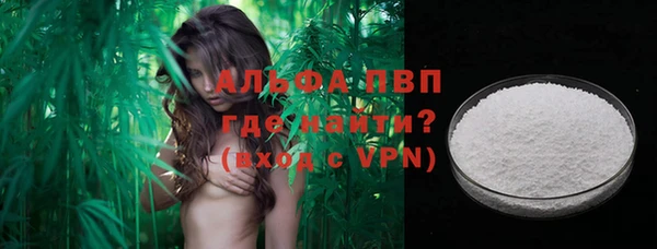 стафф Новокубанск
