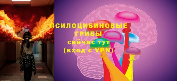 стафф Новокубанск