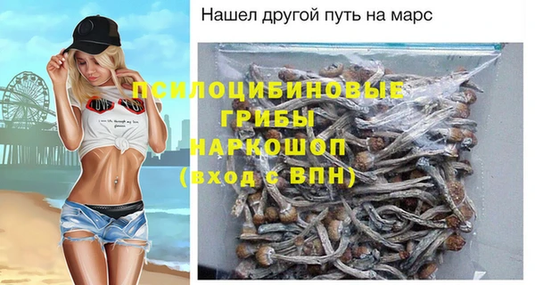 стафф Новокубанск