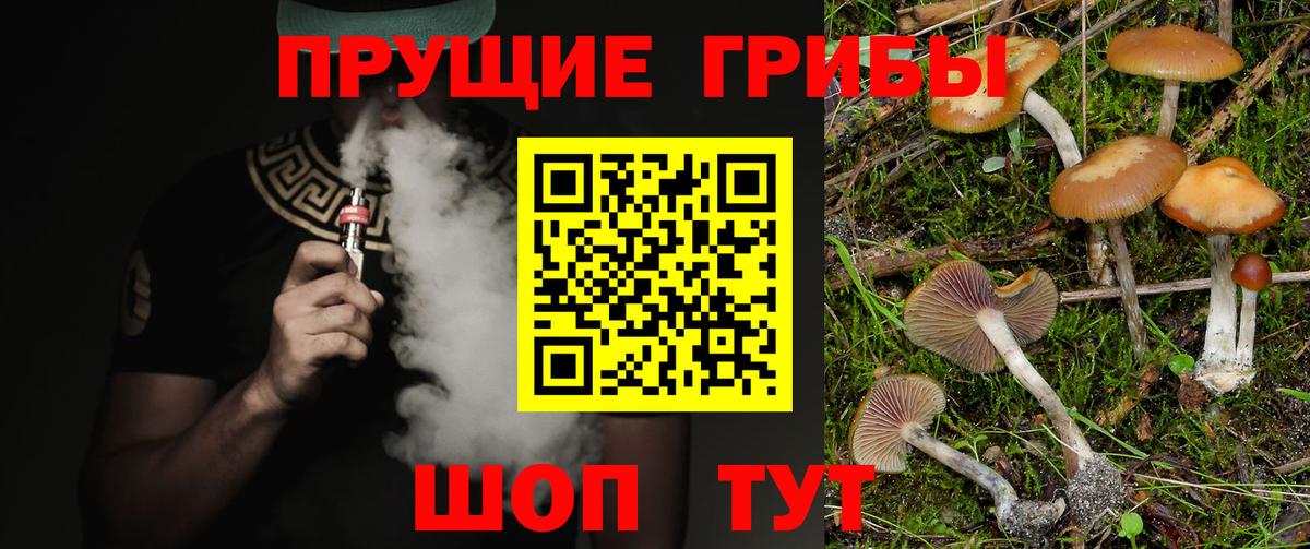 Галлюциногенные грибы прущие грибы Фролово